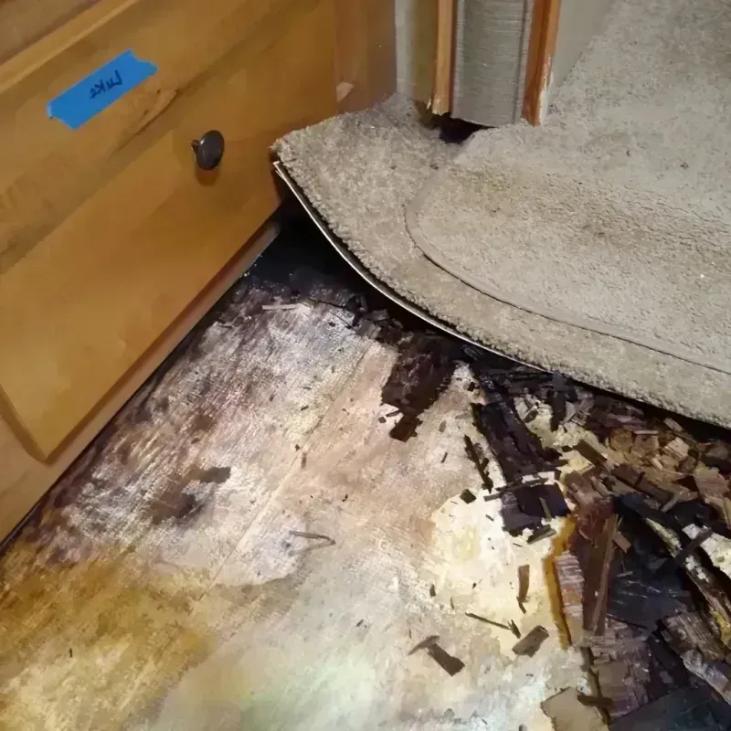 Wood Floor Water Damage in Southmont, NC